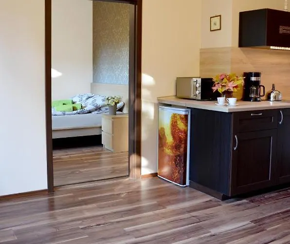 公寓 Amelia Apartament Centrum