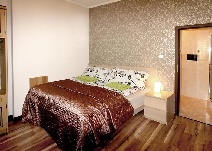 公寓 Amelia Apartament Centrum