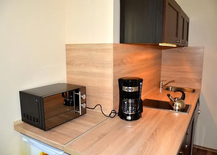 Amelia Apartament Centrum *