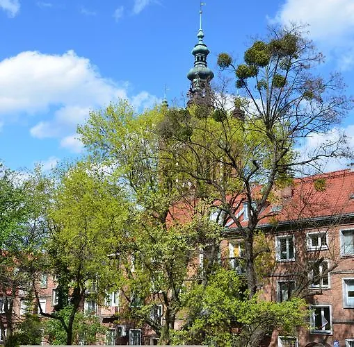 公寓 Amelia Apartament Centrum