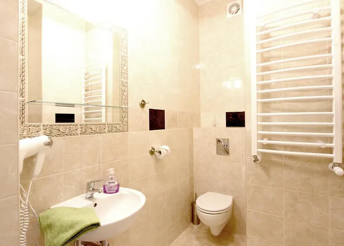 公寓 Amelia Apartament Centrum 格但斯克